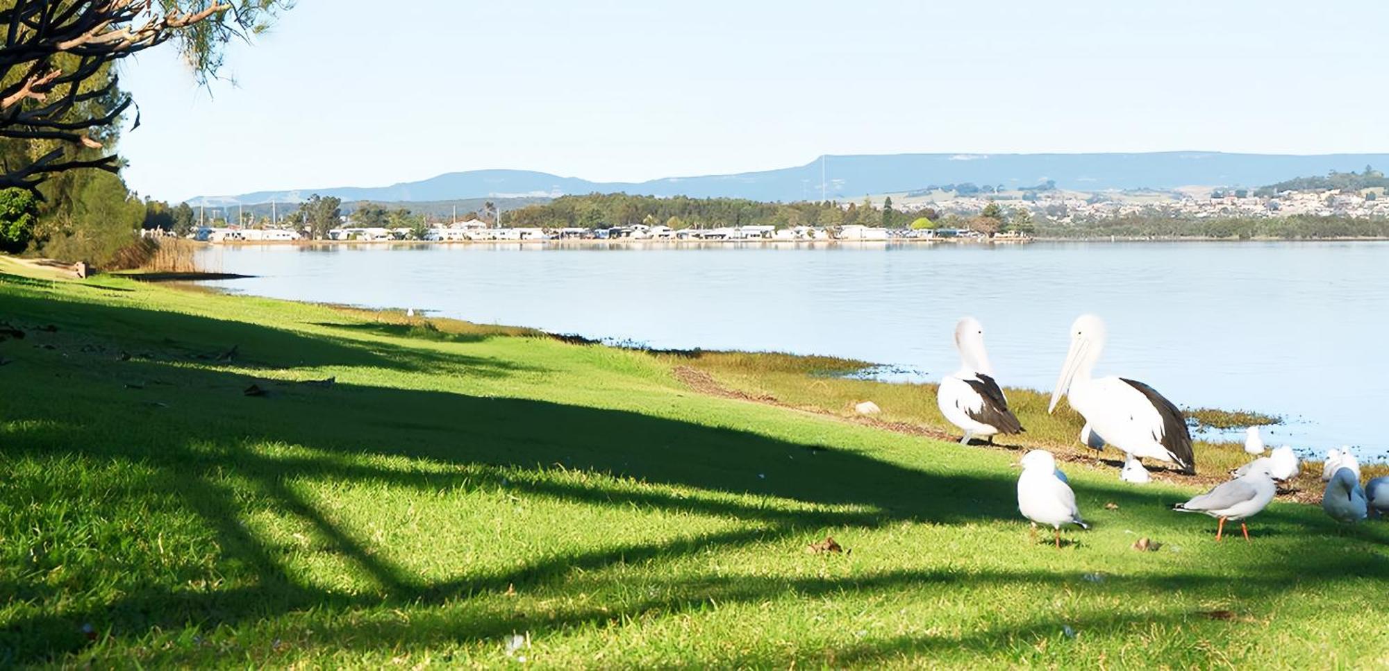 Golf Place Inn Wollongong Primbee Extérieur photo
